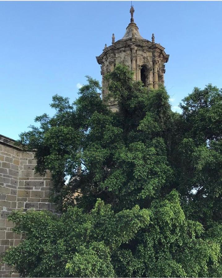 الشقق الفندقية غوادالاجارافي  Meson San Felipe المظهر الخارجي الصورة